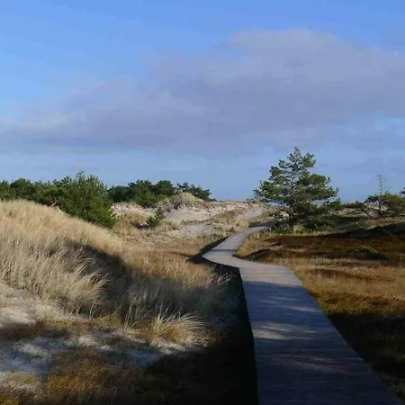 At The Dike In On The Baltic Sea