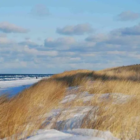 At The Dike In On The Baltic Sea *