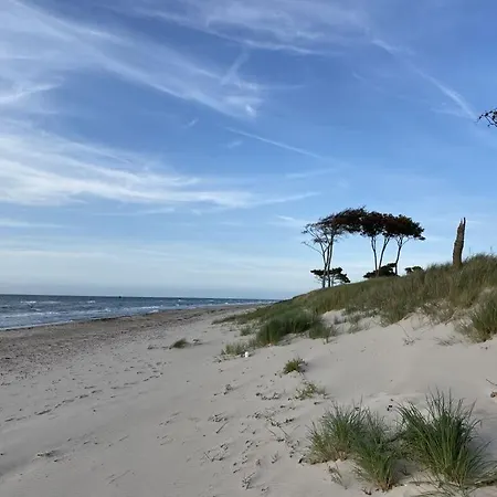 בית נופש At The Dike In On The Baltic Sea *